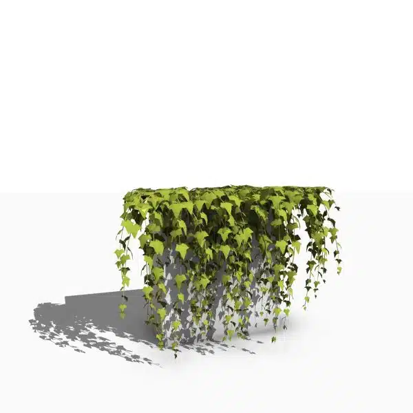 scalable arquiplant50 Hanging - Image 2