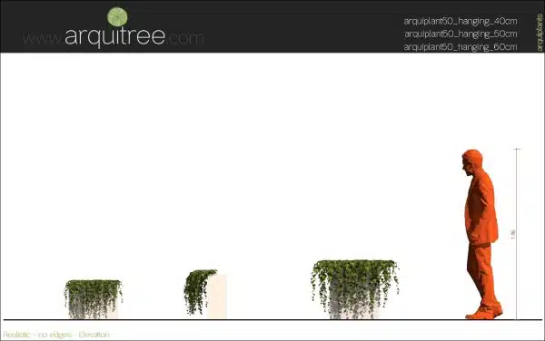 scalable arquiplant50 Hanging - Image 7