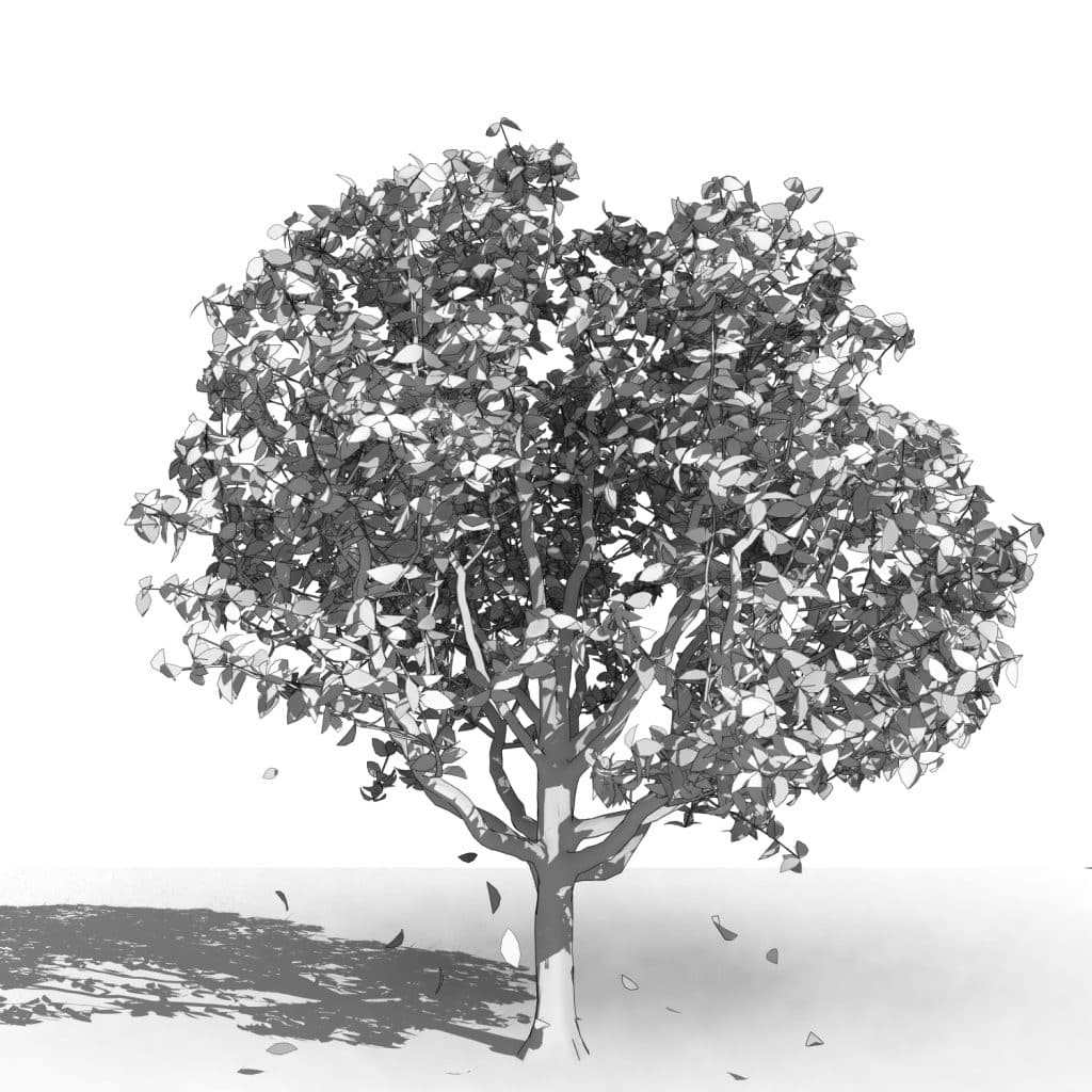 Detailed Trees Archives - arquitree Revit families