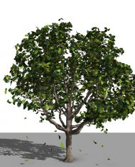 arquitree23_Detailed – 3D View – Realistic FINE