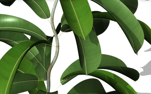 arquiplant54_REALISTIC_scalable - Image 6