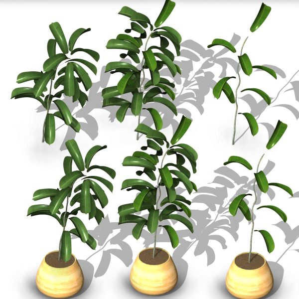 arquiplant54_REALISTIC_scalable - Image 7