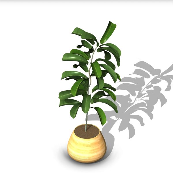 arquiplant54_REALISTIC_scalable - Image 2