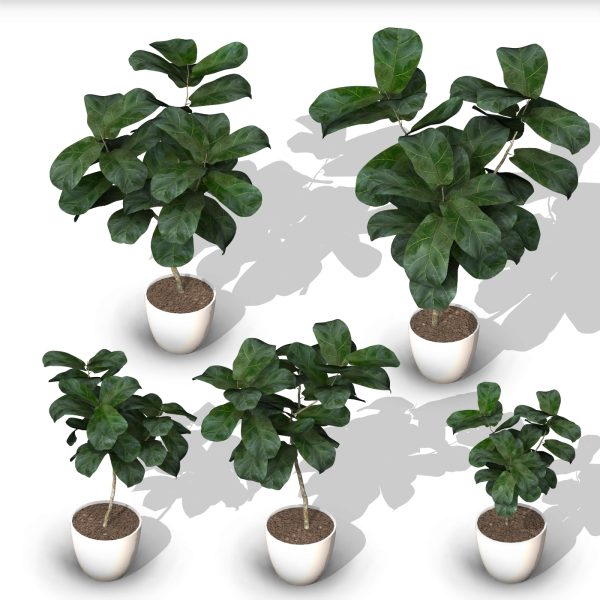 arquiplant64_REALISTIC_scalable - Image 11