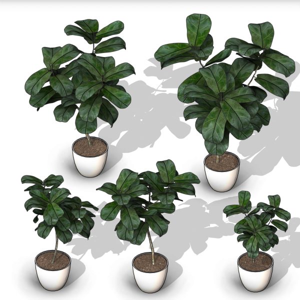 arquiplant64_REALISTIC_scalable - Image 2