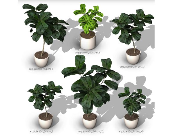 arquiplant64_REALISTIC_scalable - Image 7
