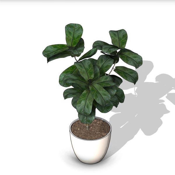arquiplant64_REALISTIC_scalable - Image 12