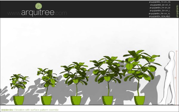 arquiplant64_REALISTIC_scalable - Image 13