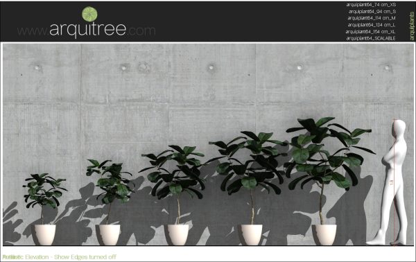 arquiplant64_REALISTIC_scalable - Image 14