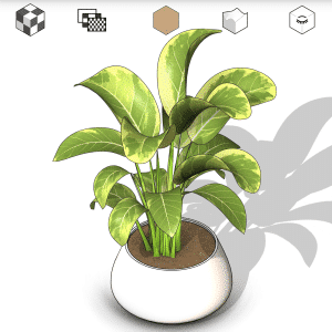 arquiplant69_scalable_REALISTIC