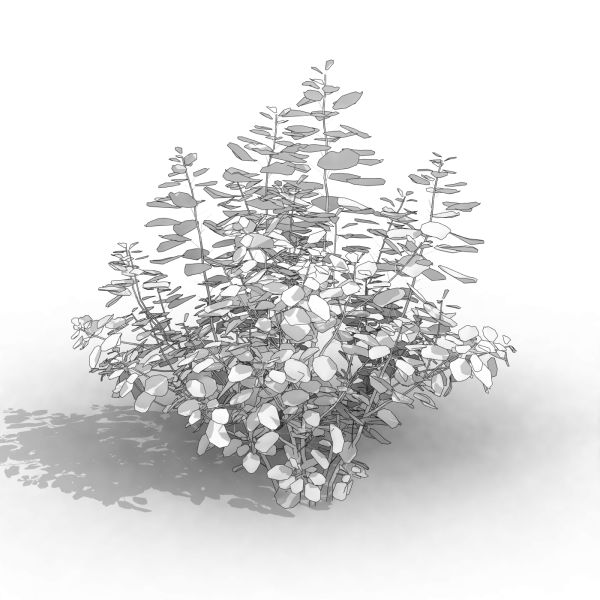 arquishrubpack04_Smoke Tree x 3 scalable - Image 11