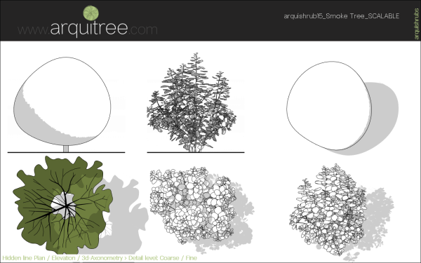 arquishrubpack04_Smoke Tree x 3 scalable - Image 17