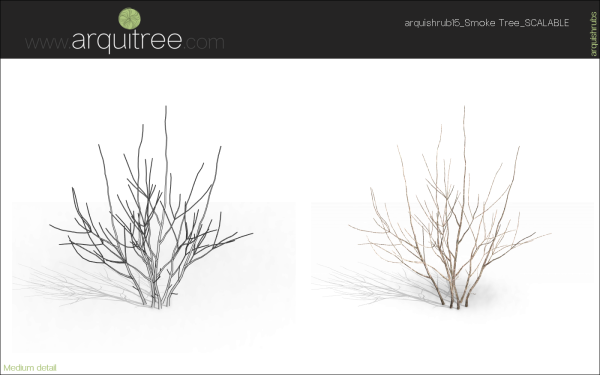 arquishrubpack04_Smoke Tree x 3 scalable - Image 19