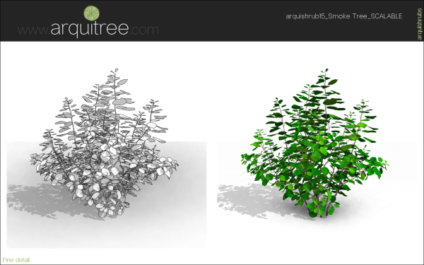 arquishrubpack04_Smoke Tree x 3 scalable - Image 20