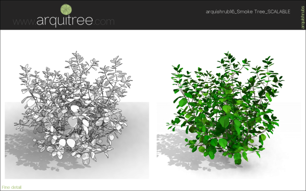 arquishrubpack04_Smoke Tree x 3 scalable - Image 30