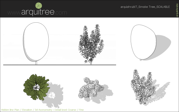 arquishrubpack04_Smoke Tree x 3 scalable - Image 34