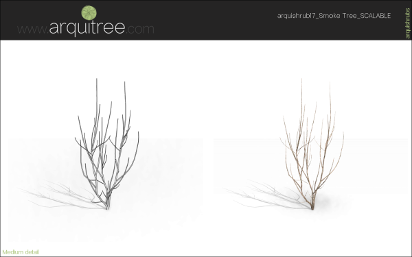 arquishrubpack04_Smoke Tree x 3 scalable - Image 36