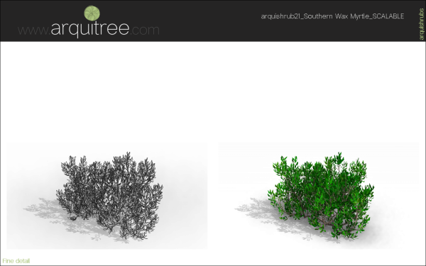 arquishrubpack06_Southern Wax Myrtle x 3 scalable - Image 20