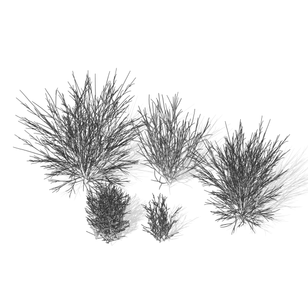 arquishrubpack03_Korean Privet x 5 scalable - Image 7