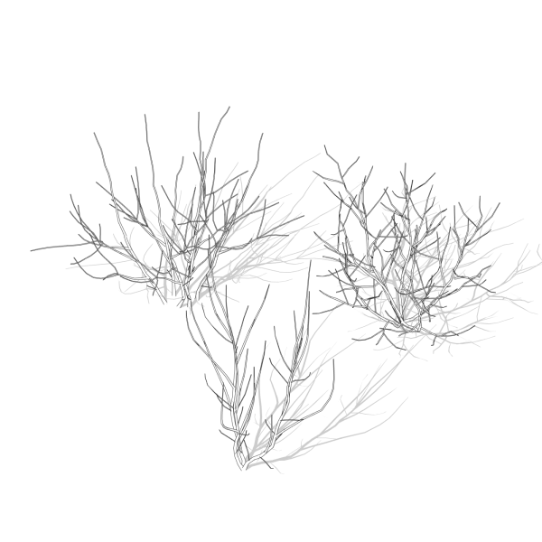 arquishrubpack04_Smoke Tree x 3 scalable - Image 7