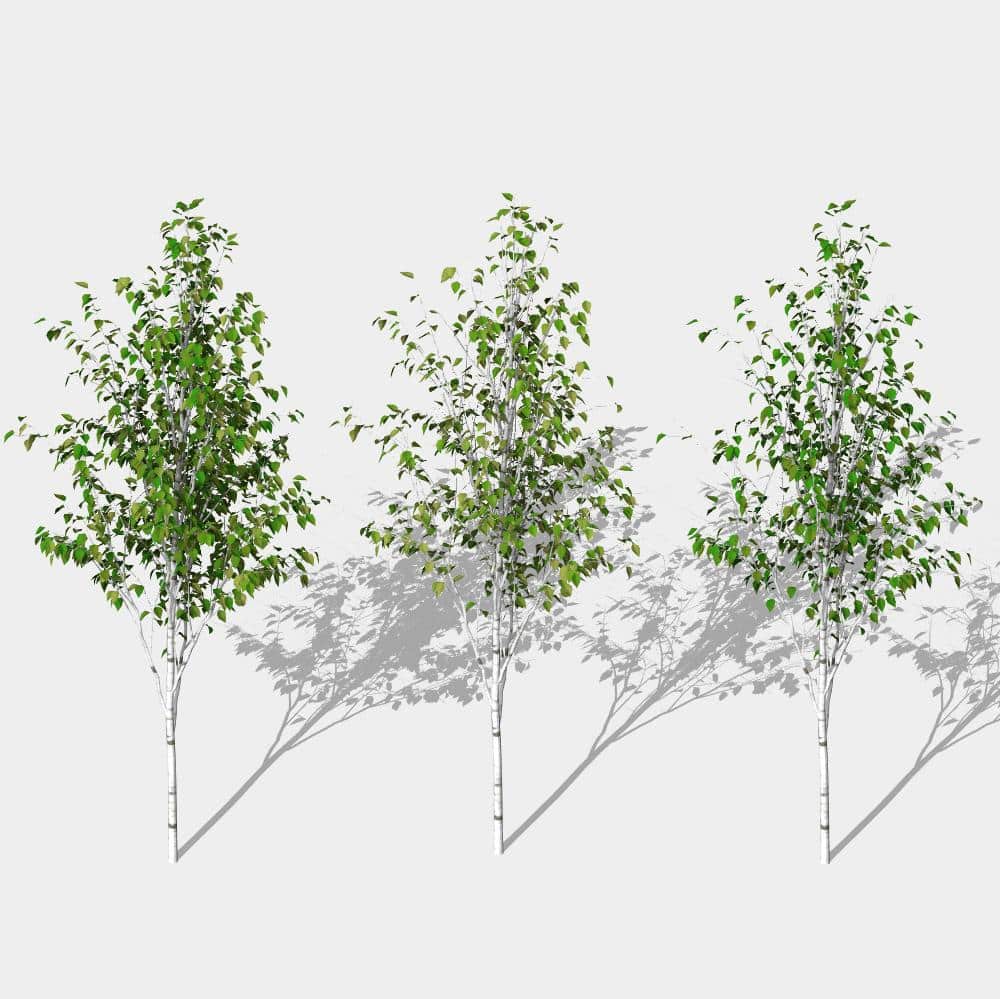 Revit Planting Families with visibility parameters for leaves | arquitree diversity