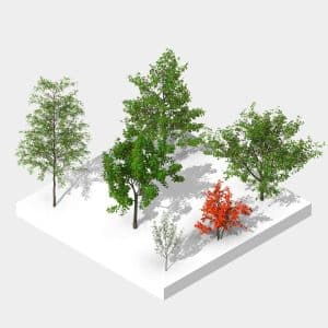 Revit American Tree Families Pack in HD + scalable