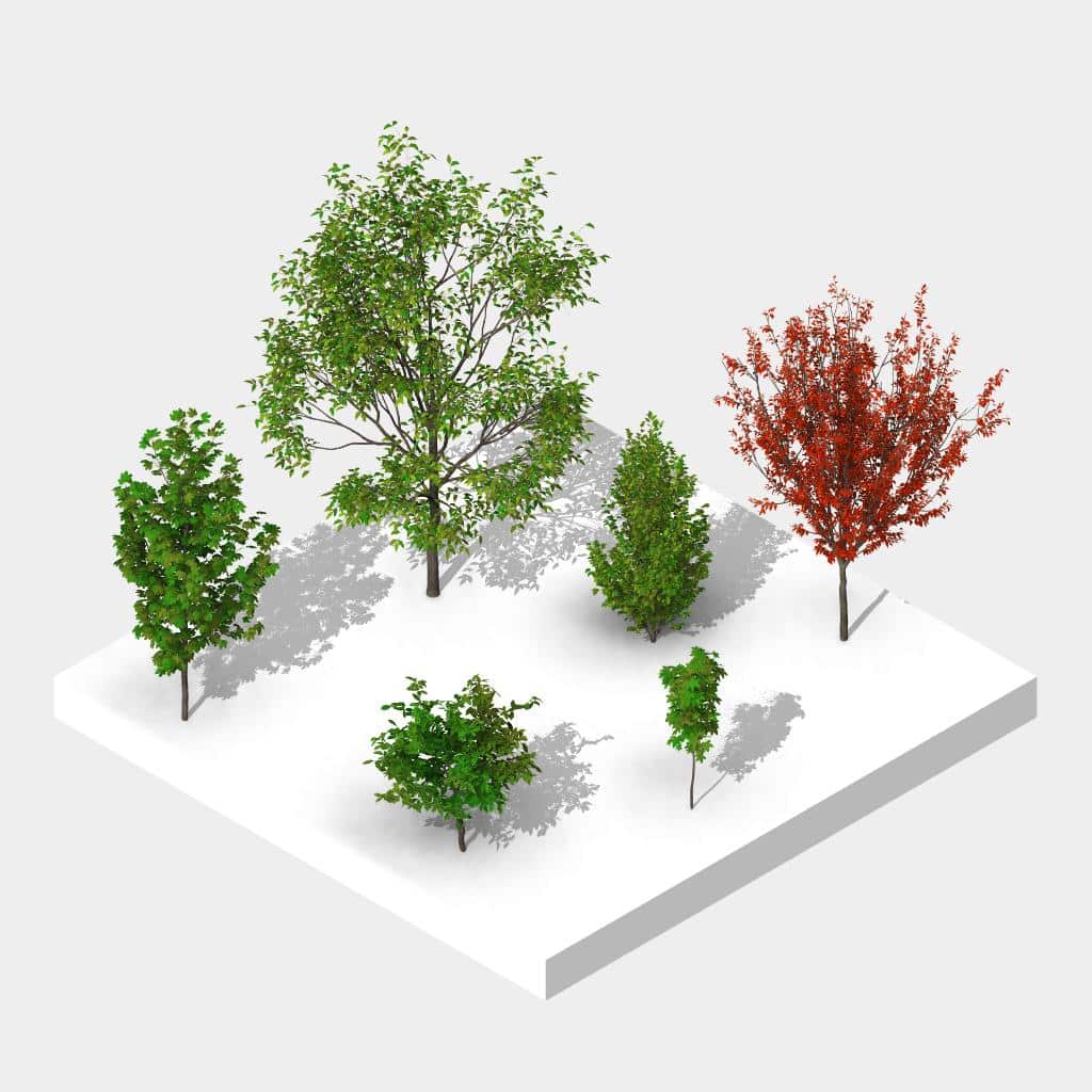 Revit European Tree Family Pack - scalable, customizable in high detail | arquitree